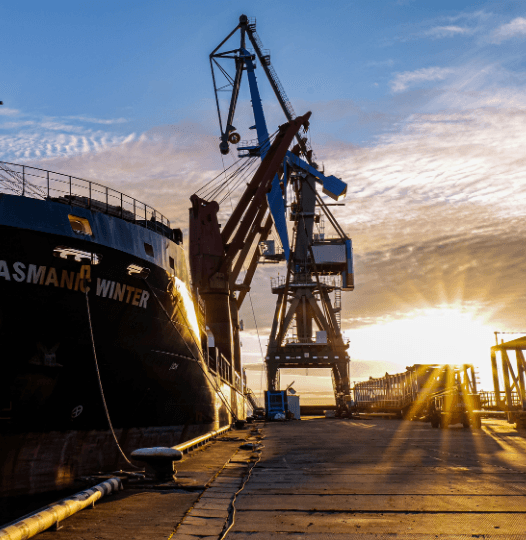 Carat Maritime form visual